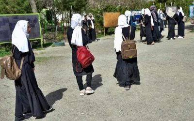 رینا امیری: تلاش میکنم، تا زنان افغان حق کار و تحصیل شان در یک افغانستان با صلح و ثبات به دست آورند