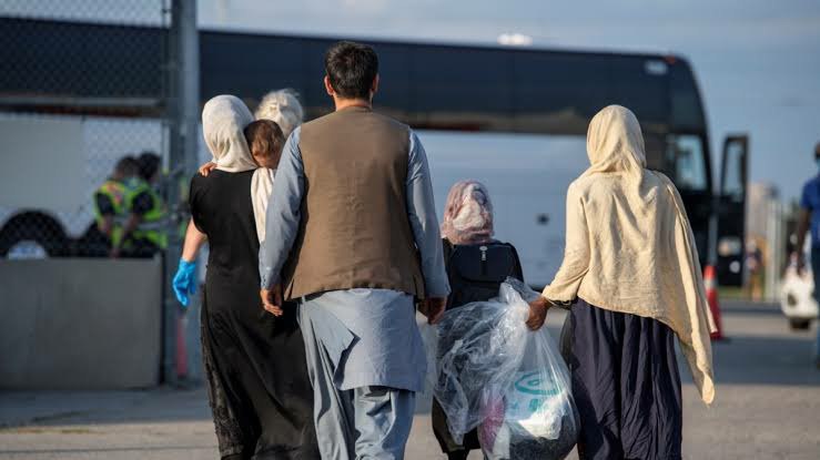 Canada transferred another 339 Afghan refugees from Pakistan